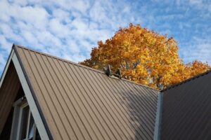 metal roofing installation and metal roof repair in Ogden