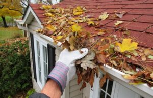 The leaves clogging gutters